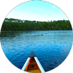 Profile photo of Debra Wilson