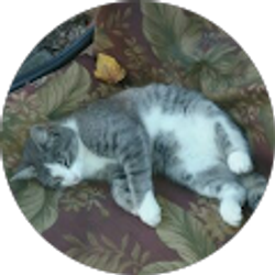 Profile photo of Brandon Hallman