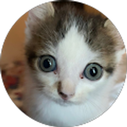 Profile photo of Logan Plimpton