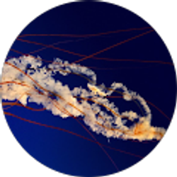 Profile photo of Ken Blizz