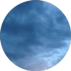 Profile photo of Tiffani Shouse