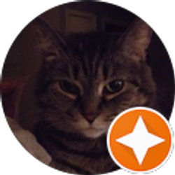 Profile photo of Sa Faith