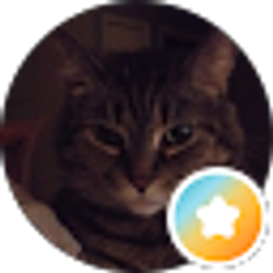 Profile photo of Sa Faith