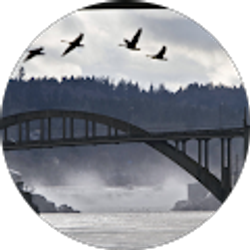 Profile photo of Lauren Abraham