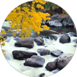 Profile photo of Ann Gonzalez