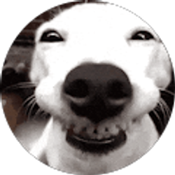 Profile photo of Bradley Chu-Chen