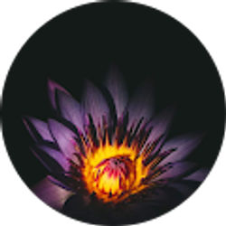 Profile photo of Marybeth Winstead