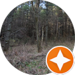 Profile photo of King Kong