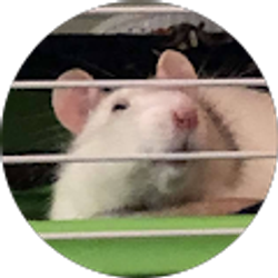 Profile photo of tyler daniels