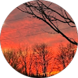 Profile photo of Juan Munoz