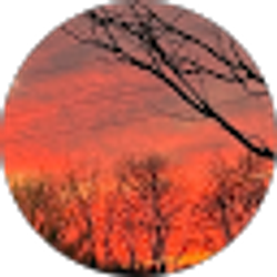 Profile photo of Juan Munoz