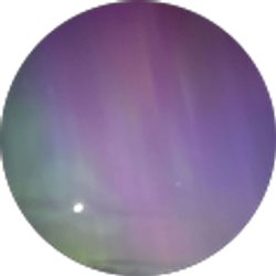 Profile photo of Lillee Benton