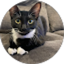 Profile photo of JUAN Soto