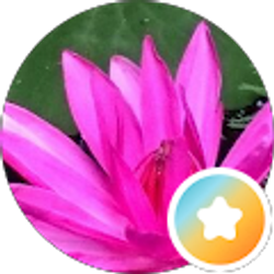 Profile photo of S s