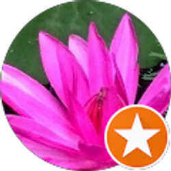 Profile photo of S s