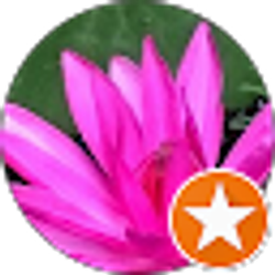 Profile photo of S s