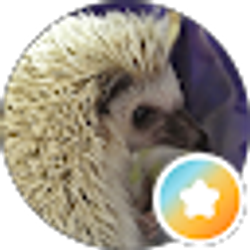 Profile photo of Alisha Pape