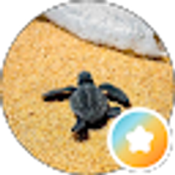 Profile photo of Michele Triplett