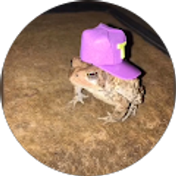 Profile photo of Shany Cam