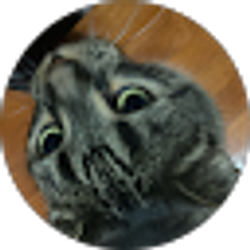 Profile photo of Reyes