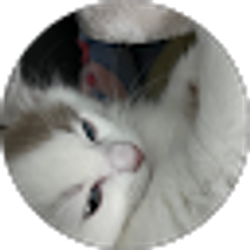 Profile photo of emily