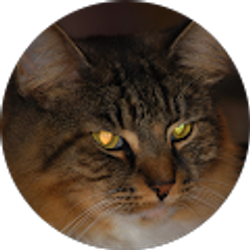 Profile photo of ad dp