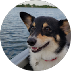 Profile photo of Clover