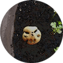 Profile photo of MsB