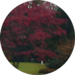 Profile photo of sissy boyce