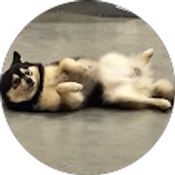 Profile photo of B C