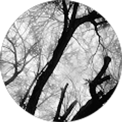 Profile photo of Sammy 2