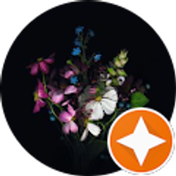 Profile photo of Ken Vo