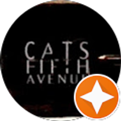 Profile photo of Catherine DeStephano