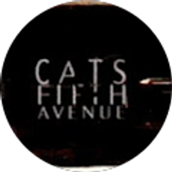 Profile photo of Catherine DeStephano