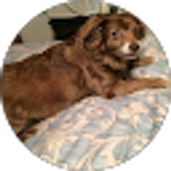 Profile photo of wayne mccombs