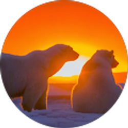 Profile photo of Gary Bode