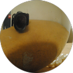 Profile photo of Greta Lustig