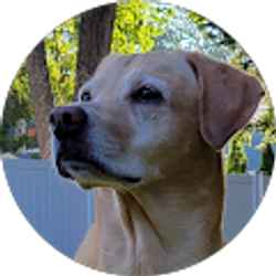 Profile photo of w weat