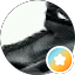 Profile photo of Michael Yen