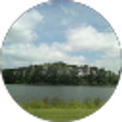 Profile photo of Crissy Brown