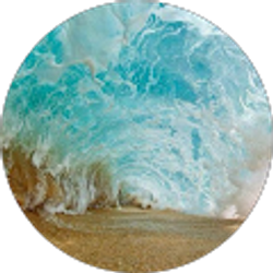 Profile photo of Guy Bojarsky