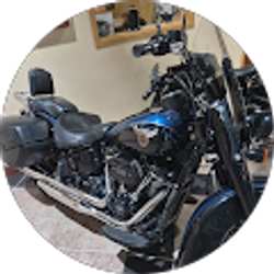 Profile photo of Willis McCall