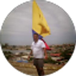 Profile photo of Nelson Ricardo Castro Garcia