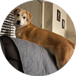 Profile photo of Niki McDaniel