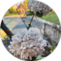 Profile photo of Robin Nelson