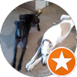 Profile photo of Bev Boyd