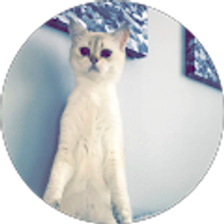 Profile photo of Nadiya Boychuk