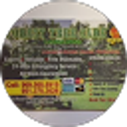 Profile photo of forest treecare
