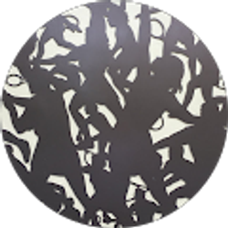 Profile photo of Christopher Alessi