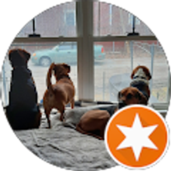 Profile photo of Shane Comings